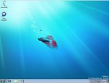 Windows7.jpg image by mrstang302
