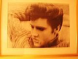 elvis.jpg image by Looshey